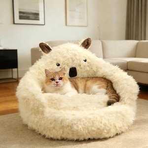 Può includere: Un letto per animali domestici in peluche color crema a forma di koala, con orecchie marroni e naso nero. Un gatto con pelo arancione e bianco è rannicchiato all'interno del letto. Il letto è su un tappeto chiaro.
