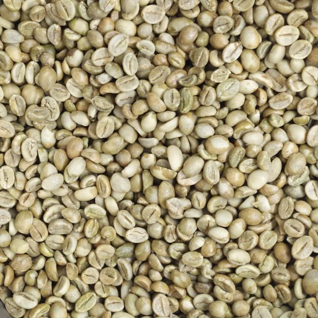 Indonesian Java Green Beans - Robusta 900 Grams - Etsy