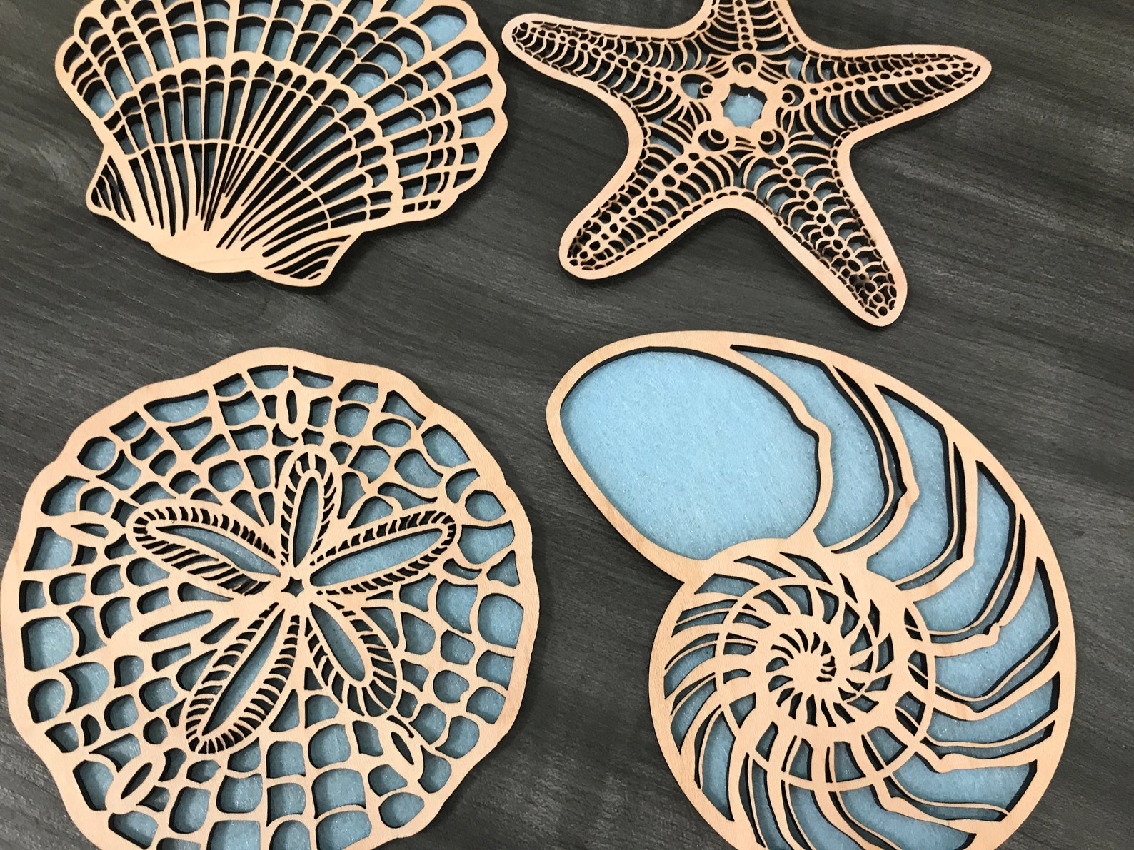 Laser Cut Shell Shapes File - Etsy Canada