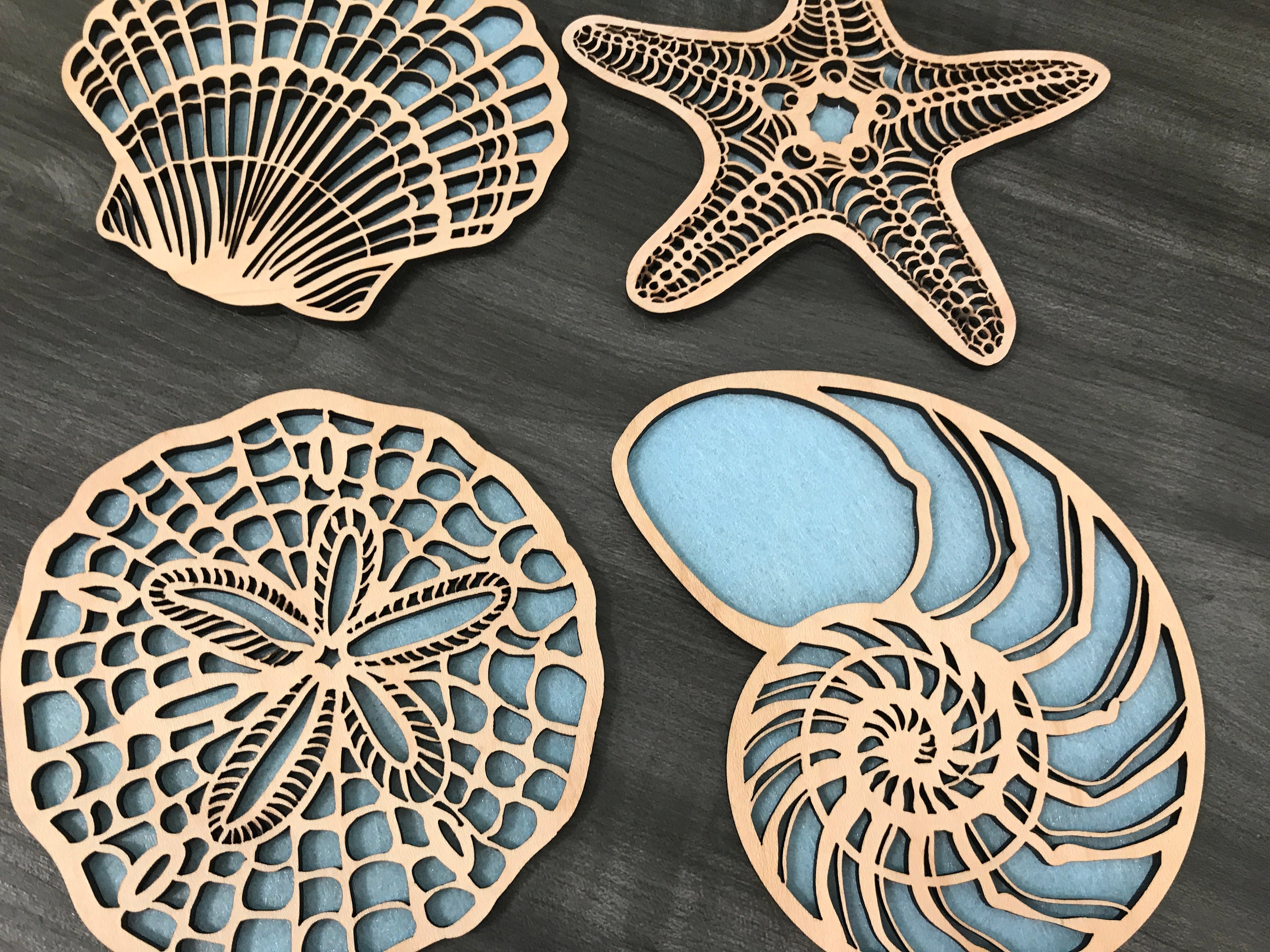 Laser Cut Shell Shapes File Etsy Canada