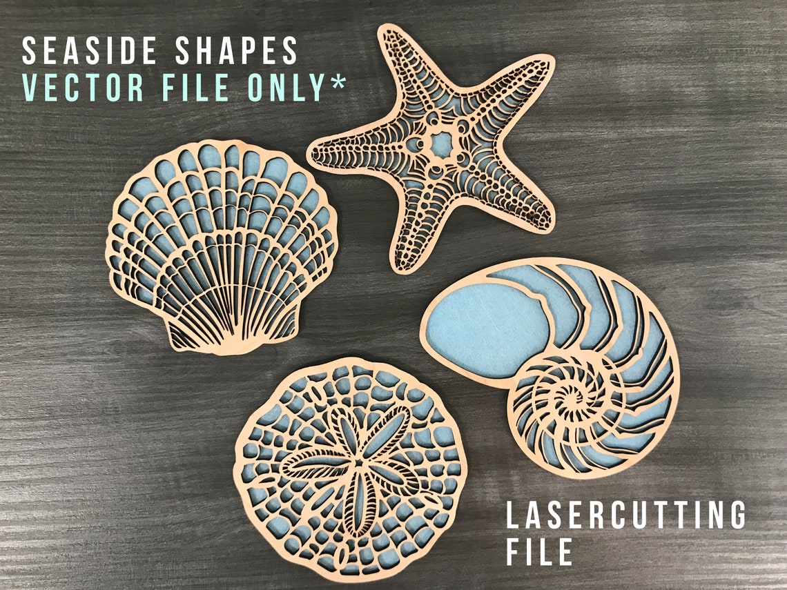 Laser Cut Shell Shapes File Etsy