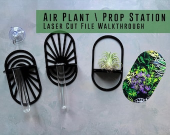 Air plant Holder, Propagation Station 12 Total Styles - Laser Cut Files - DIGITAL DOWNLOAD