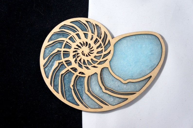 Laser Cut Shell Shapes File Etsy