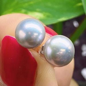 8mm AAA metallic silver grey Freshwater Pearl earring 925 Sterling Silver Earrings Studs Gift Classic Fashion Bridal Wedding Jewelry E3103