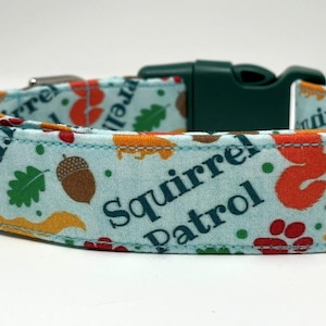 Squirrel Patrol Dog Collar Size XS, S, M, L or XL