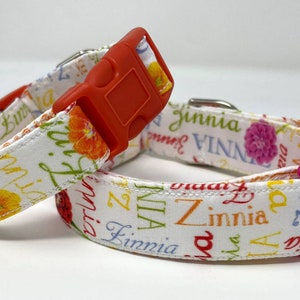 Collar para perro Zinnia Words Talla XS, S, M, L o XL