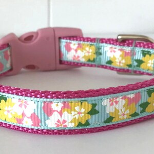 May include: A pink dog collar with a floral pattern in shades of yellow, pink, and green on a light blue background. The collar has a pink plastic buckle.