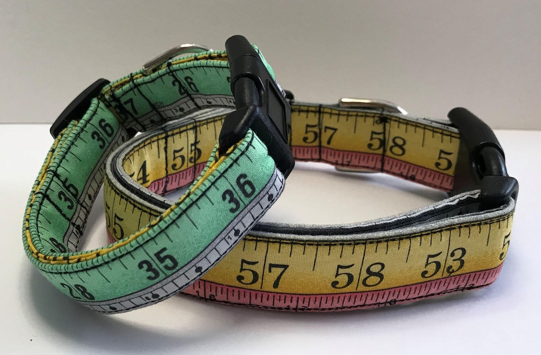 Dogs Speed Ruler You Rule! Ruler Print Dog Collar Size XS, S, M, L - Etsy