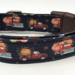 Pumpkin Patch  Dog Collar Size XS, S, M, L or XL