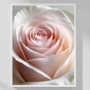 Könnte beinhalten: Nahaufnahme eines gerahmten Drucks mit einer zarten rosa Rose. Die Rosenblätter sind weich und geschichtet, mit subtilen Farbvariationen. Das Bild hat einen weichen Fokus, der eine romantische und ruhige Atmosphäre schafft. Das Kunstwerk ist vor einem neutralen Hintergrund.