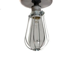 Industrial Bare Bulb Caged Light Ceiling Flush Mount / Wall Sconce image 3