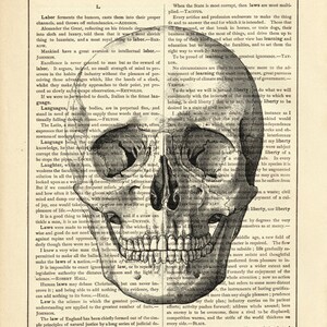 Human Skull Image Head Gothic Halloween Anatomy Poster Dark Academia Vintage Victorian Book Page Art Print Steampunk image 2