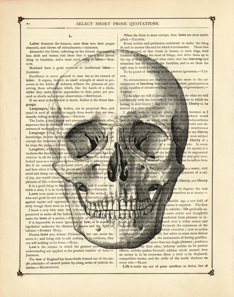 Human Skull Image Head Gothic Halloween Anatomy Poster Dark Academia Vintage Victorian Book Page Art Print Steampunk image 2