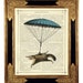 see more listings in the Animaux, Oiseaux, Insectes section