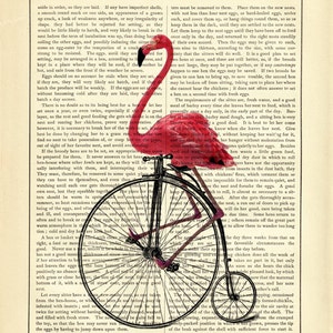 Art Print Flamingo rijden fiets eenwieler Penny Farthing fiets Shabby Chic Vintage Victoriaanse boekenpagina Steampunk roze Flamingo afbeelding 2