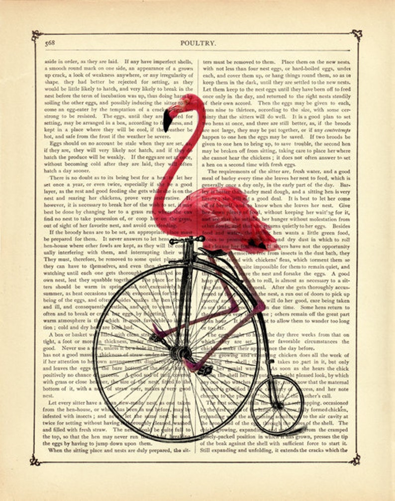 Art Print Flamingo rijden fiets eenwieler Penny Farthing fiets Shabby Chic Vintage Victoriaanse boekenpagina Steampunk roze Flamingo afbeelding 2