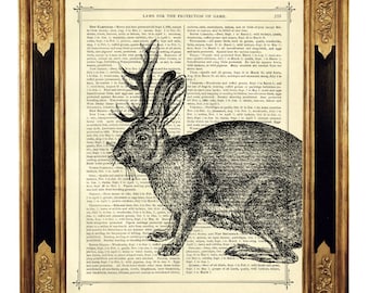 Jackalope Rabbit Art Print Deer Woodland Cryptozoology - Vintage Victorian Book Page Art Print Steampunk