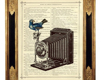 Dicionário de câmera fotográfica Pôster de pássaro Steampunk Dark Academia Art - Impressão de arte de página de livro vitoriano vintage