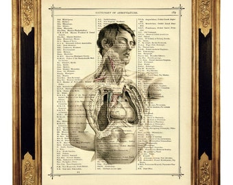 Anatomie torse homme Medical Heart Dictionary Poster Dark Academia - page de livre victorienne vintage impression d'art Steampunk