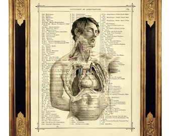 Anatomia torso homem médico coração dicionário cartaz escuro academia-vintage vitoriano livro página arte impressão steampunk