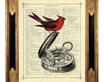 Roter Vogel Kunstdruck Kompass Instrument Nautik Poster - Steampunk Druck auf antiker viktorianischer Buchseite