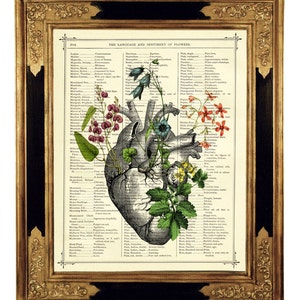 Anatomical Heart Flowers Art Botany II Dark Academia Vintage Victorian Book Page Art Print Steampunk Valentine's Day Gothic Halloween image 1