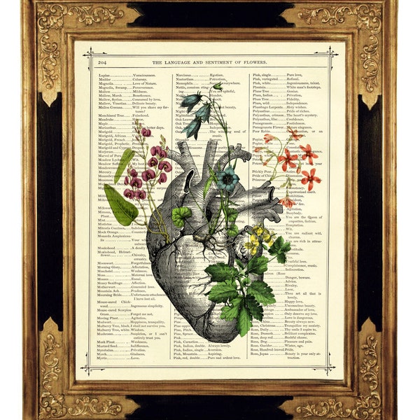 Anatomische hart bloemen Art Botany II Dark Academia - Vintage Victoriaanse boekpagina Art Print Steampunk Valentijnsdag Gothic Halloween