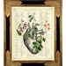 see more listings in the Anatomy, Medical section