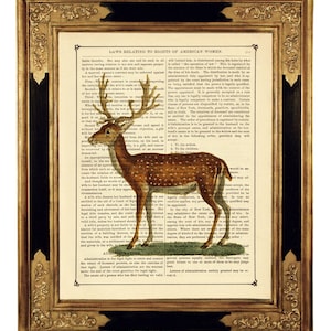 Deer Stag Dictionary Art Woodland Forest Antlers Country Home Gift - Vintage Victorian Book Page Art Print Steampunk