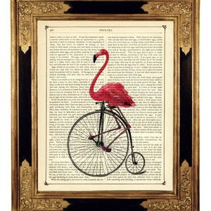 Art Print Flamingo rijden fiets eenwieler Penny Farthing fiets Shabby Chic Vintage Victoriaanse boekenpagina Steampunk roze Flamingo afbeelding 1