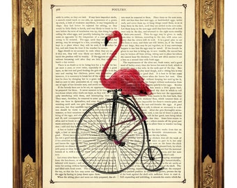Impressão artística Flamingo andando de bicicleta Uniciclo Penny Farthing Bicicleta Shabby Chic - Página de livro vitoriano vintage Steampunk Flamingo rosa