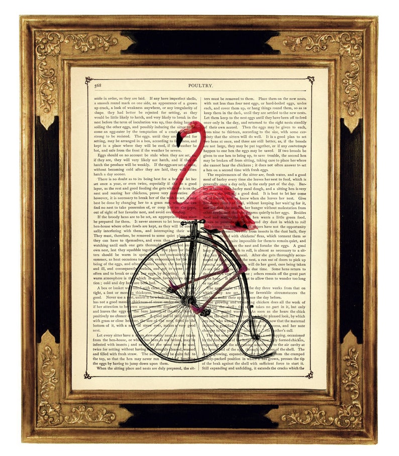 Art Print Flamingo rijden fiets eenwieler Penny Farthing fiets Shabby Chic Vintage Victoriaanse boekenpagina Steampunk roze Flamingo afbeelding 1