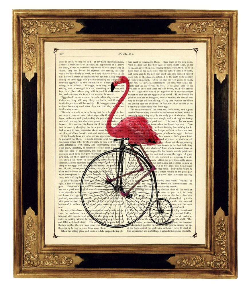 Flamingo shaped bike for sale hotsell