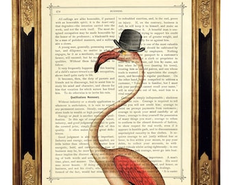 Dictionnaire des oiseaux flamant rose chapeau melon Steampunk Gentleman Cottagecore - page de livre victorienne vintage impression d'art affiche décoration murale