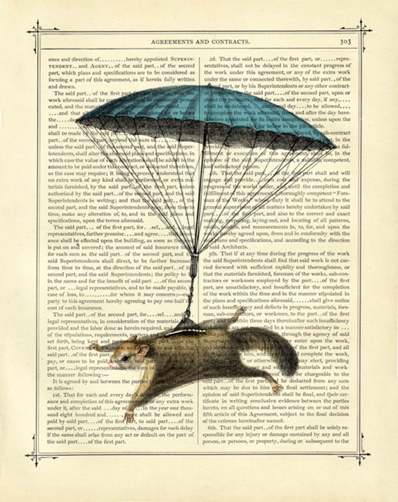 Flying Squirrel Art Print blue Parachute Cottagecore Vintage Victorian Book Page Art Print Steampunk Nursery Wall Art Circus image 2