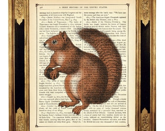 Squirrel Dictionary Acorn Forest Woodlands Cottagecore - Vintage Victorian Book Page Art Print Steampunk