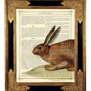 Rabbit Bunny Art Print Woodland Cottagecore Easter Poster Country Home Vintage Victorian Book Page Art Print Steampunk image 1