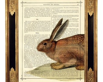 Rabbit Bunny Art Print Woodland Cottagecore Easter Poster Country Home - Vintage Victorian Book Page Art Print Steampunk