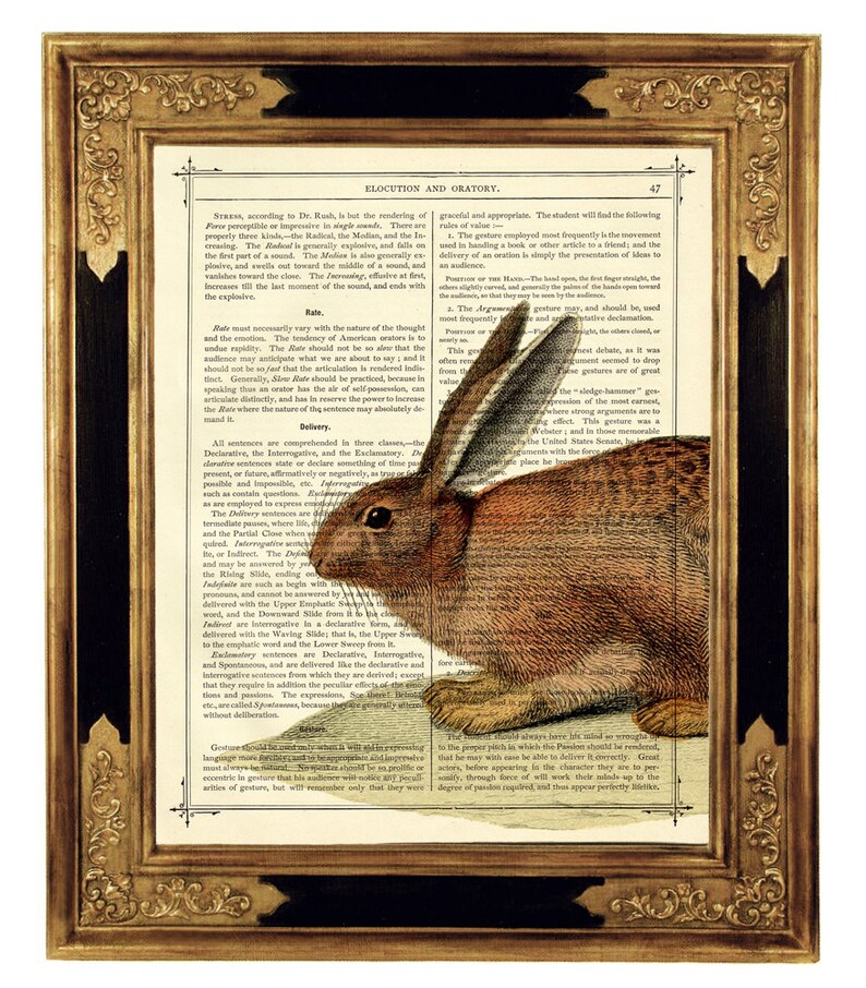 Rabbit Bunny Art Print Woodland Cottagecore Easter Poster Country Home Vintage Victorian Book Page Art Print Steampunk image 1