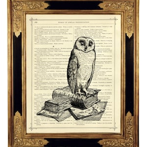 Owl Pile of Books Library Literature Dictionary Dark Academia Wall Art - Vintage Victorian Book Page Art Print Steampunk Bird
