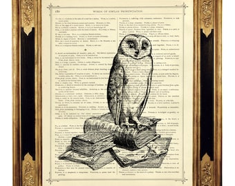 Pilha de livros de coruja, biblioteca, dicionário de literatura, arte de parede da academia escura, página de livro vitoriano vintage, impressão de arte, pássaro steampunk