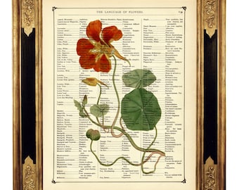 Jardin botanique de fleurs rouges fête des mères Cottagecore - page de livre victorien vintage impression d'art Steampunk Saint-Valentin amour