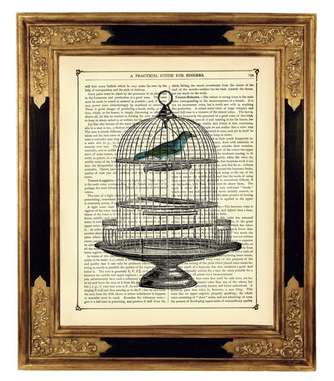 Blue Bird Dictionary Art Birdcage III Poster Country Home Cottagecore
