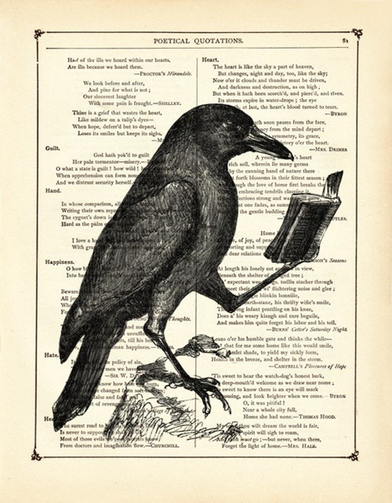 Raven Crow reading book Bird Dictionary Art Halloween Dark Academia Vintage Victorian Book Page Art Print Steampunk image 2