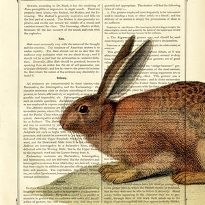 Rabbit Bunny Art Print Woodland Cottagecore Easter Poster Country Home Vintage Victorian Book Page Art Print Steampunk image 2