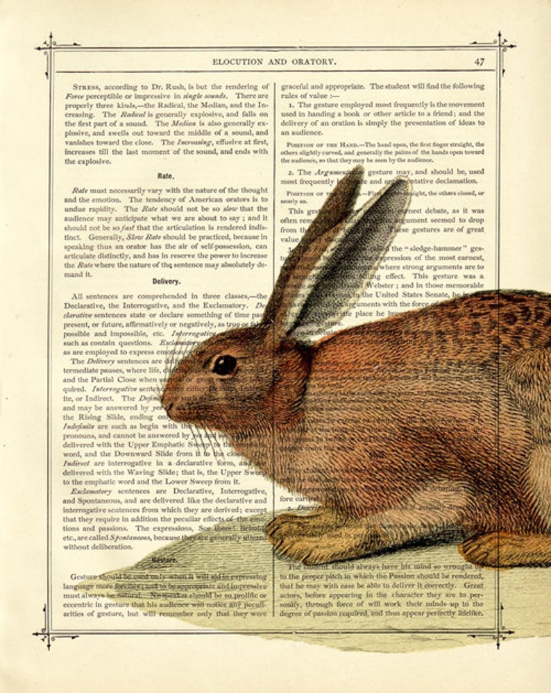 Rabbit Bunny Art Print Woodland Cottagecore Easter Poster Country Home Vintage Victorian Book Page Art Print Steampunk image 2