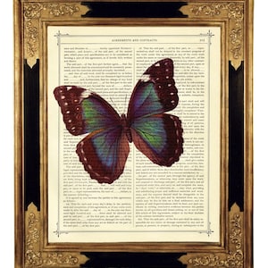 Fjärilsmorpho-ordbok Ar-tryck Insektsaffisch Dark Academia - Vintage viktoriansk boksida Steampunk