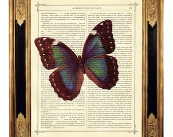 Borboleta Morpho Dicionário Ar Print Insect Poster Dark Academia - Página de livro vitoriano vintage Steampunk