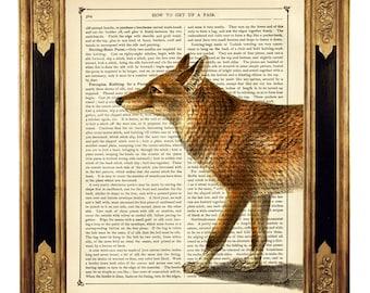 Red Fox Woodland Forest Vixen Cottagecore Poster - Vintage Victorian Book Page Art Print Steampunk