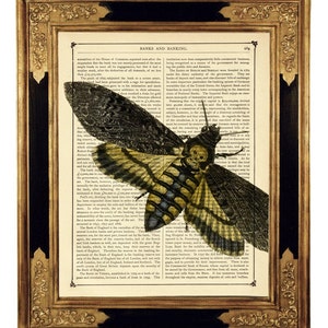 Death's Head Moth Hannibal Gothic Skull Halloween Insect Dark Academia - Vintage Victorian Book Page Dictionary Art Print Steampunk